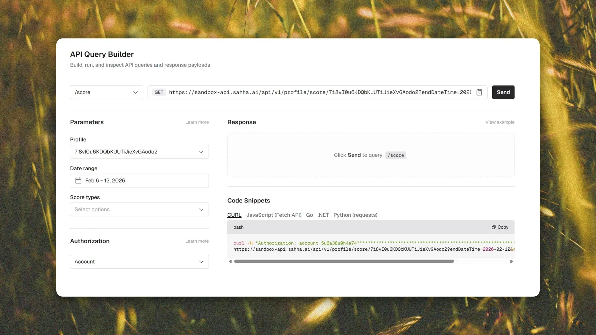 API query builder