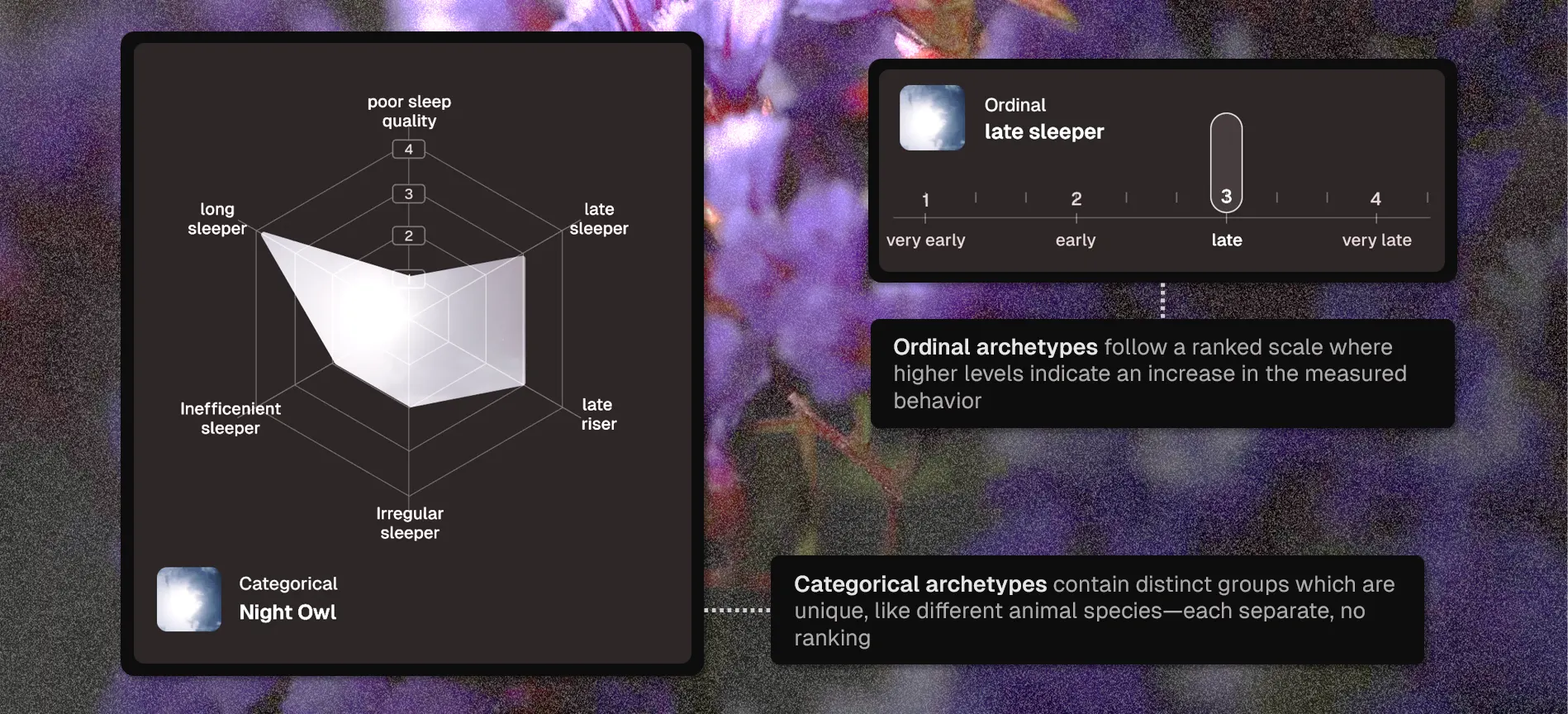 Types of Archetypes